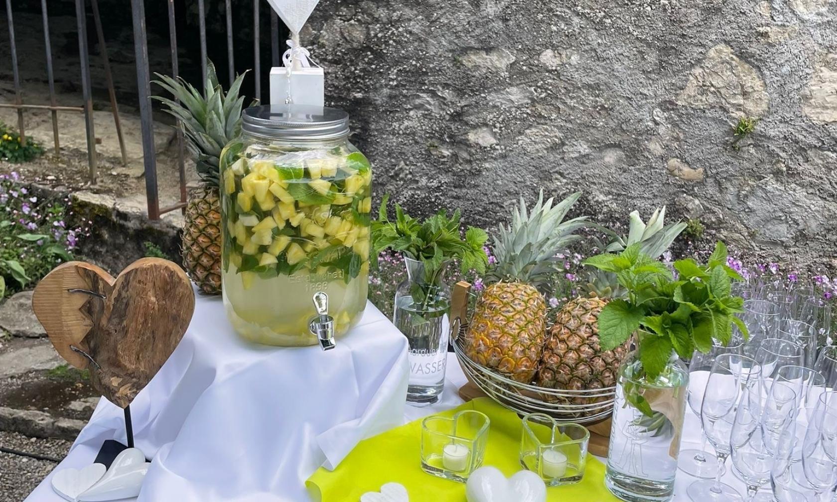 Apero Schloss Wildegg1