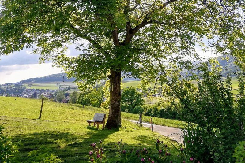 Betriebsferien Sommer Betriebsferien Sommer